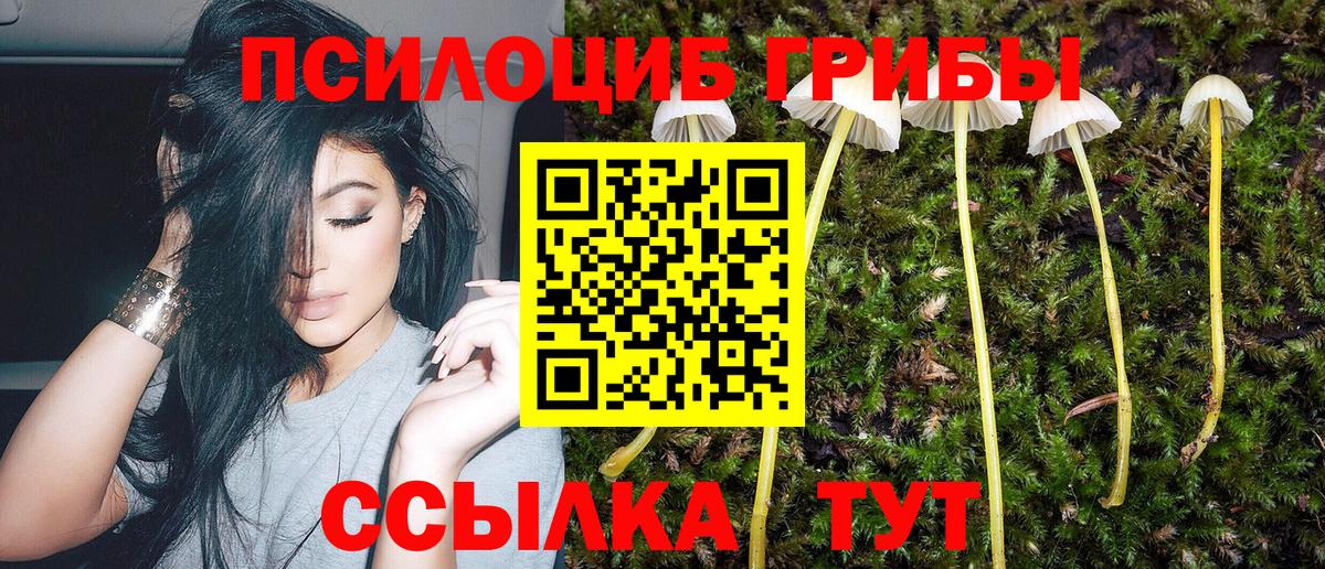 Галлюциногенные грибы MAGIC MUSHROOMS Борзя
