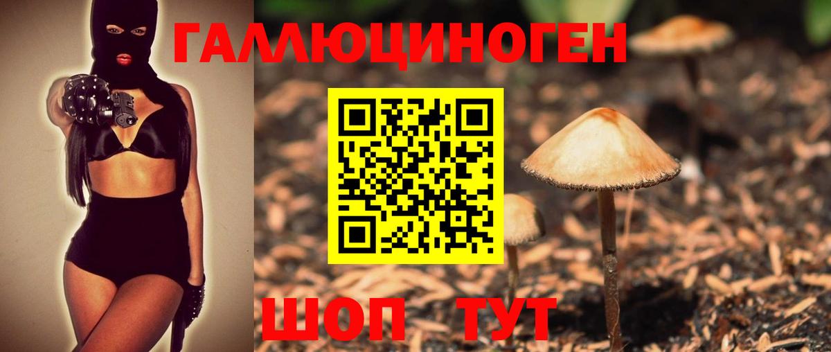 Галлюциногенные грибы Psilocybine cubensis  Галлюциногенные грибы мухоморы  Вход с VPN  Борзя 